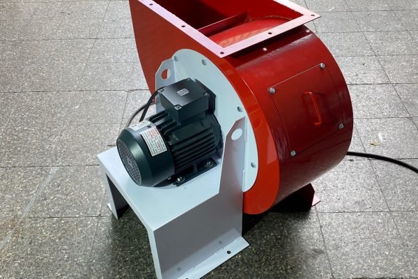 WhatsApp Image 2025-05-14 at 4.57.58 PM